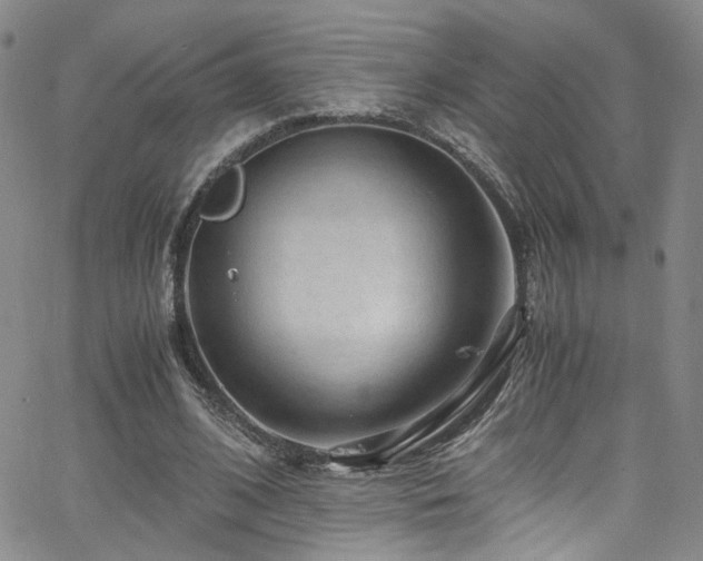 X0000062630584200512211231