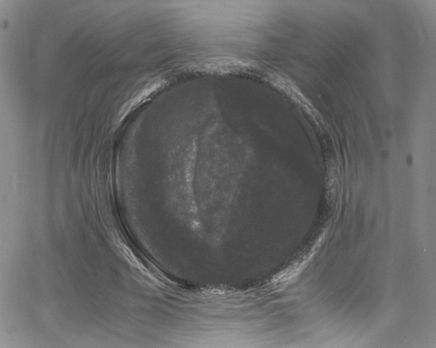 X0000062630585200512211231