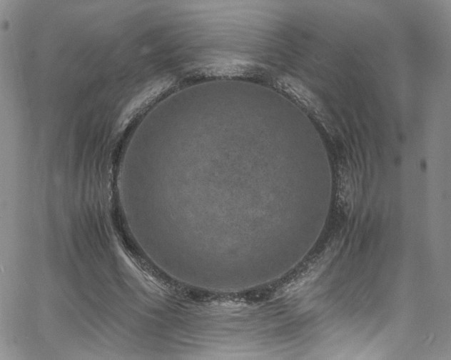 X0000062630586200512211231