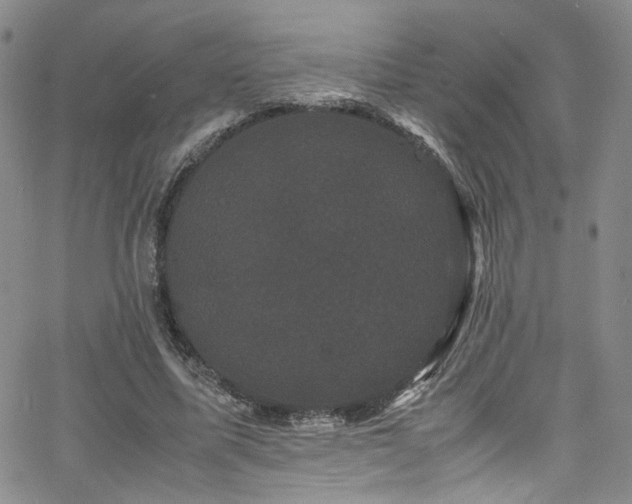 X0000062630587200512211231