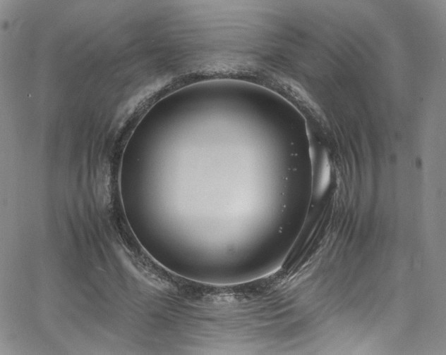 X0000062630588200512211231