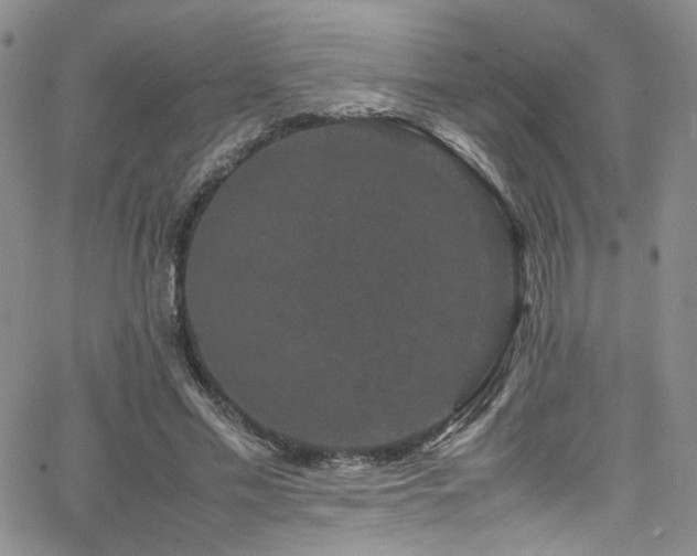 X0000062630589200512211231