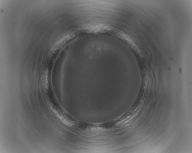 X0000062630590200512211231