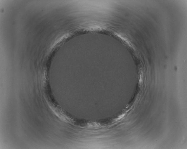 X0000062630591200512211231