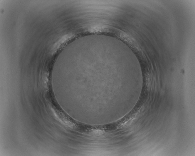 X0000062630592200512211231