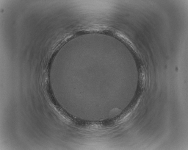 X0000062630593200512211231