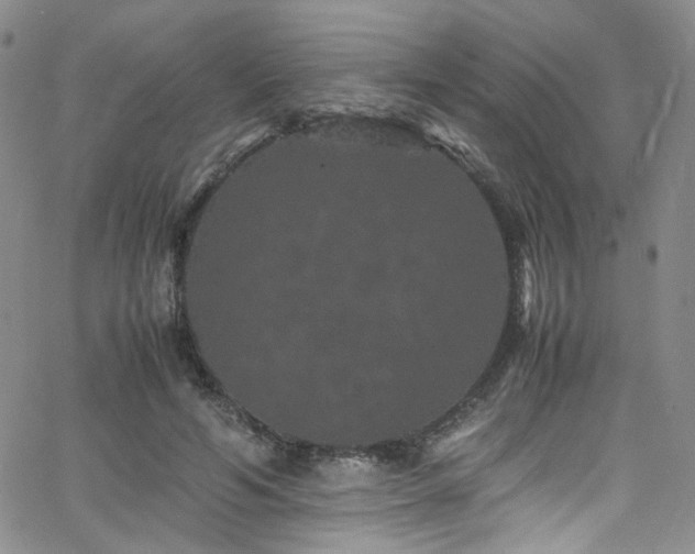 X0000062630594200512211231