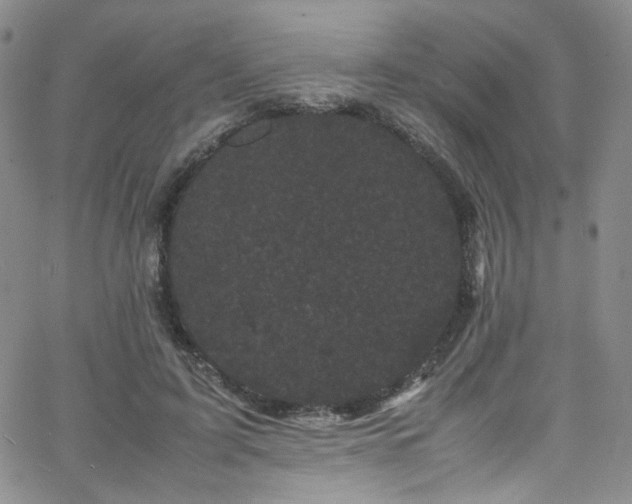 X0000062630595200512211231