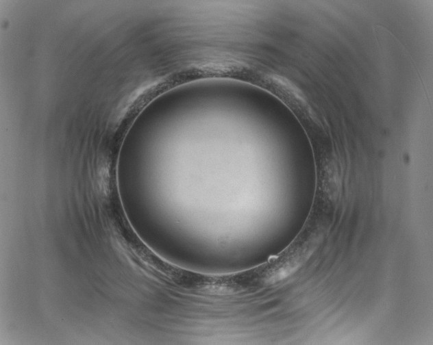 X0000062630596200512211231