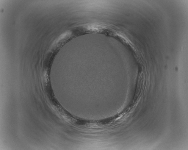 X0000062630597200512211231