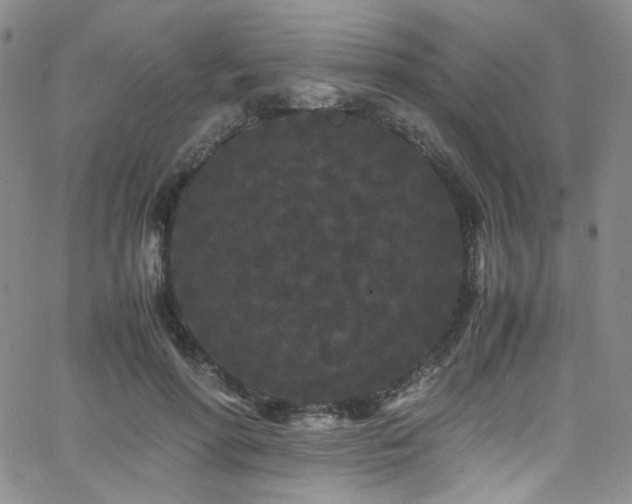 X0000062630598200512211231