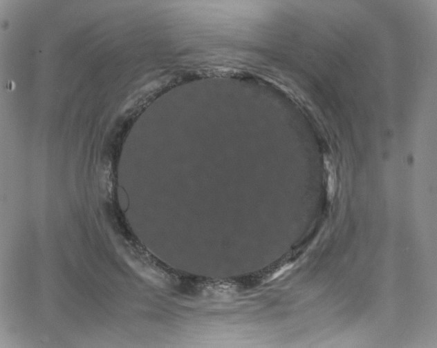 X0000062630599200512211231