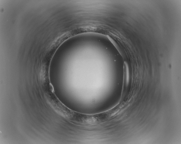 X0000062630600200512211231