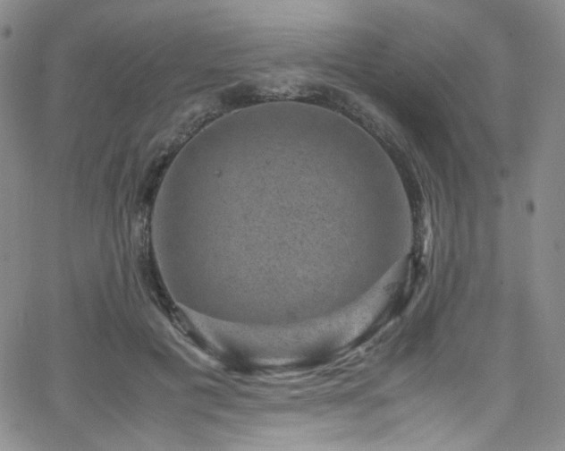 X0000062630601200512211231