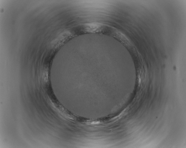 X0000062630602200512211231