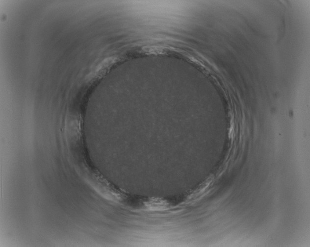 X0000062630603200512211231