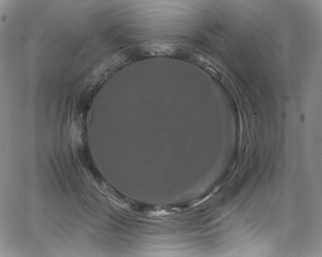 X0000062630604200512211231