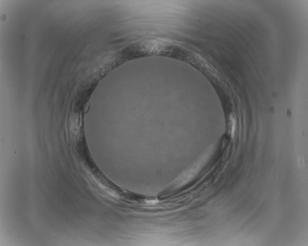 X0000062630605200512211231