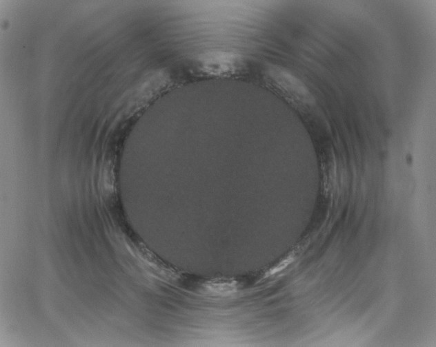 X0000062630606200512211231