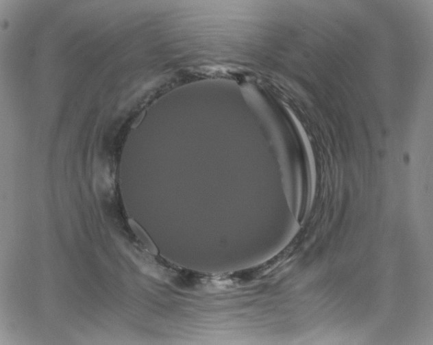 X0000062630607200512211231