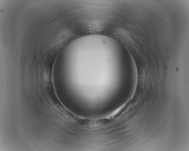 X0000062630608200512211231