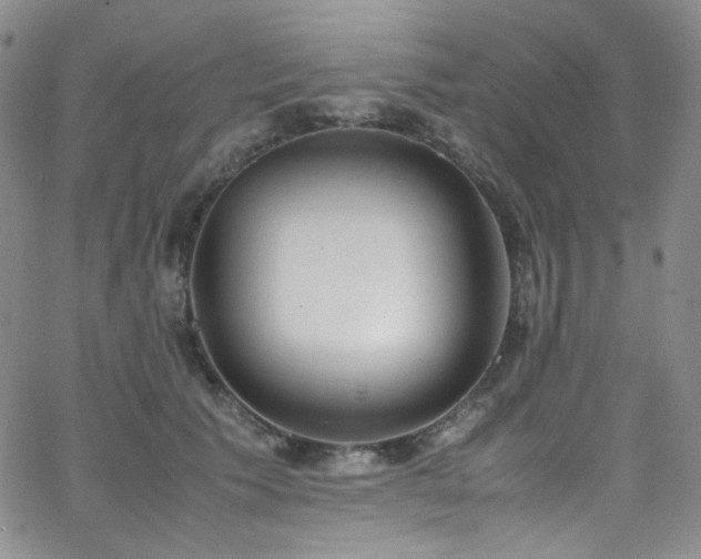 X0000062630609200512211231