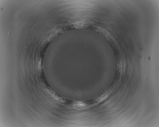 X0000062630610200512211231