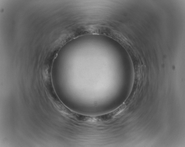 X0000062630611200512211231