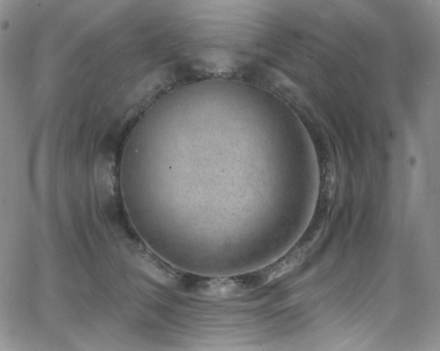 X0000062630612200512211231