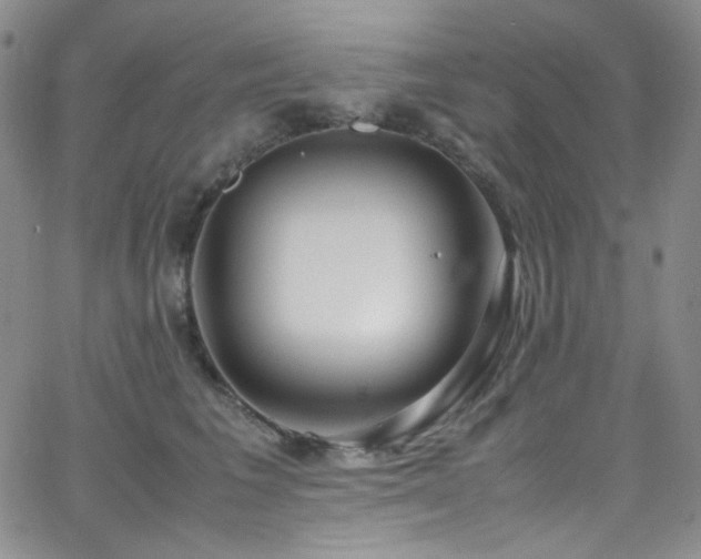 X0000062630613200512211231