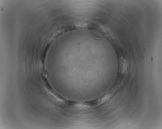 X0000062630614200512211231