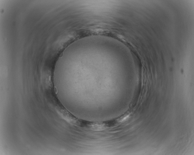 X0000062630615200512211231