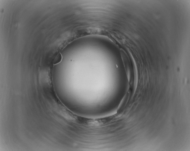 X0000062630616200512211231