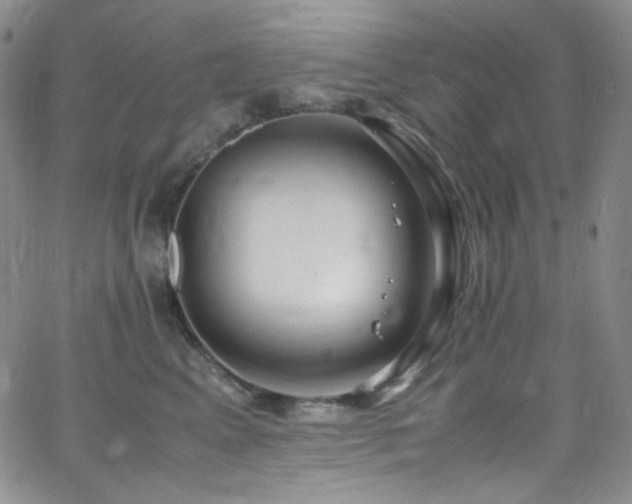 X0000062630617200512211231