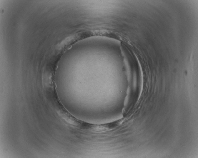 X0000062630619200512211230