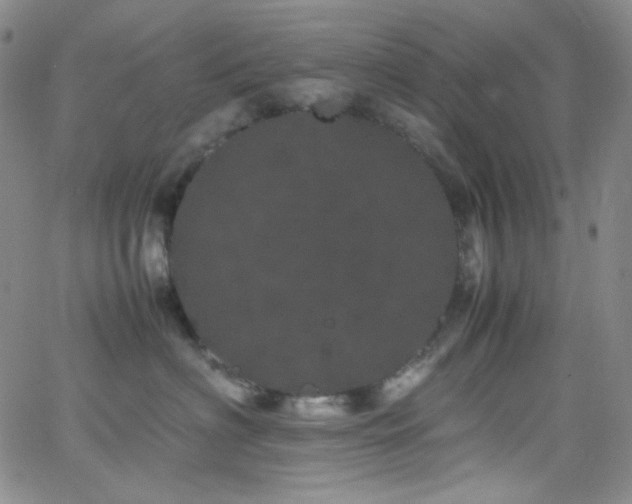 X0000062630622200512211230