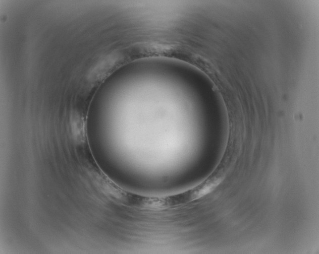 X0000062630624200512211230