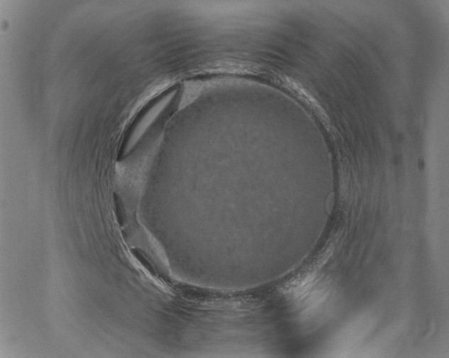 X0000062630625200512211230