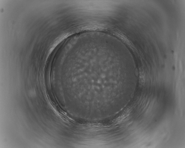 X0000062630626200512211230