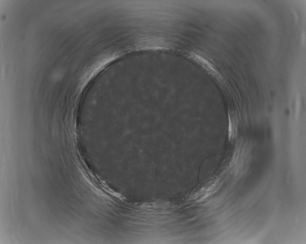 X0000062630627200512211230