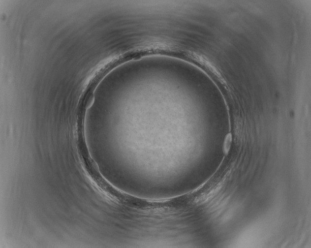 X0000062630629200512211230