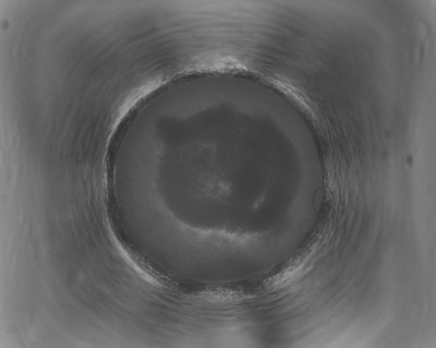 X0000062630630200512211230