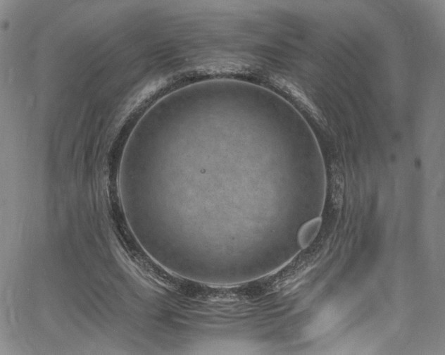 X0000062630631200512211230