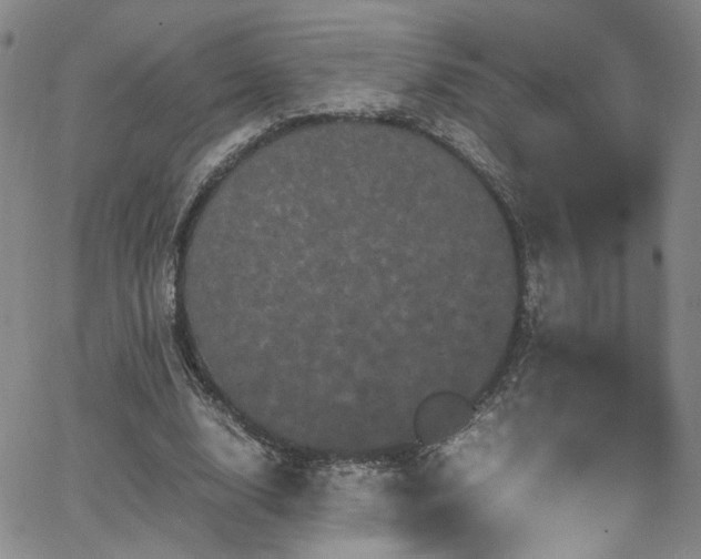 X0000062630632200512211230