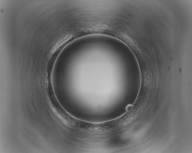 X0000062630634200512211230