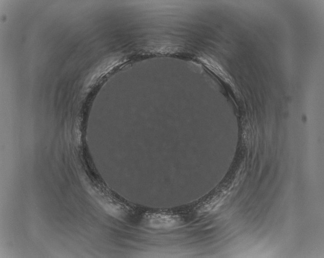 X0000062630635200512211230