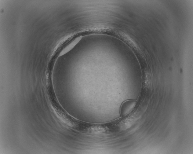 X0000062630636200512211230