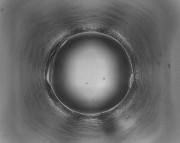 X0000062630637200512211230