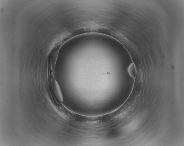 X0000062630638200512211230