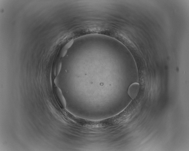 X0000062630639200512211230